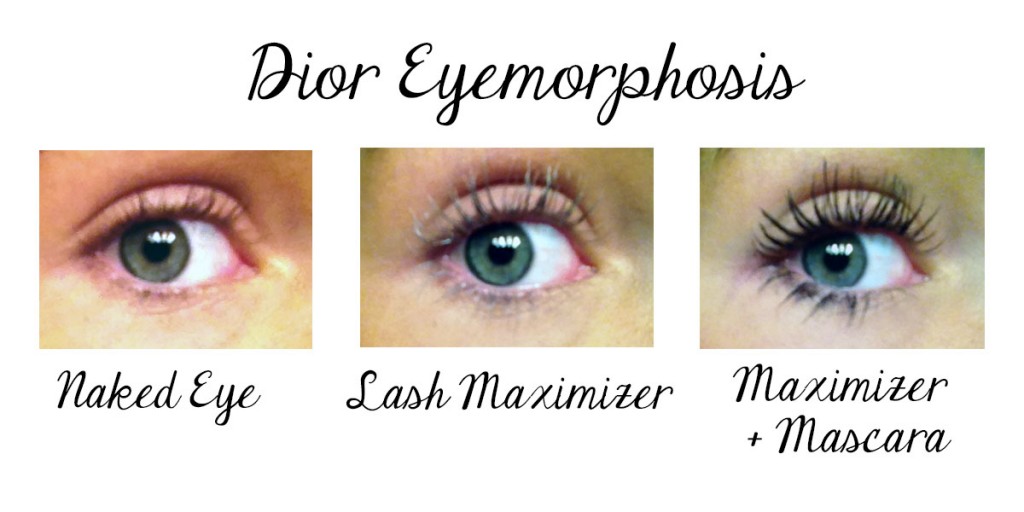 lash maximizer serum